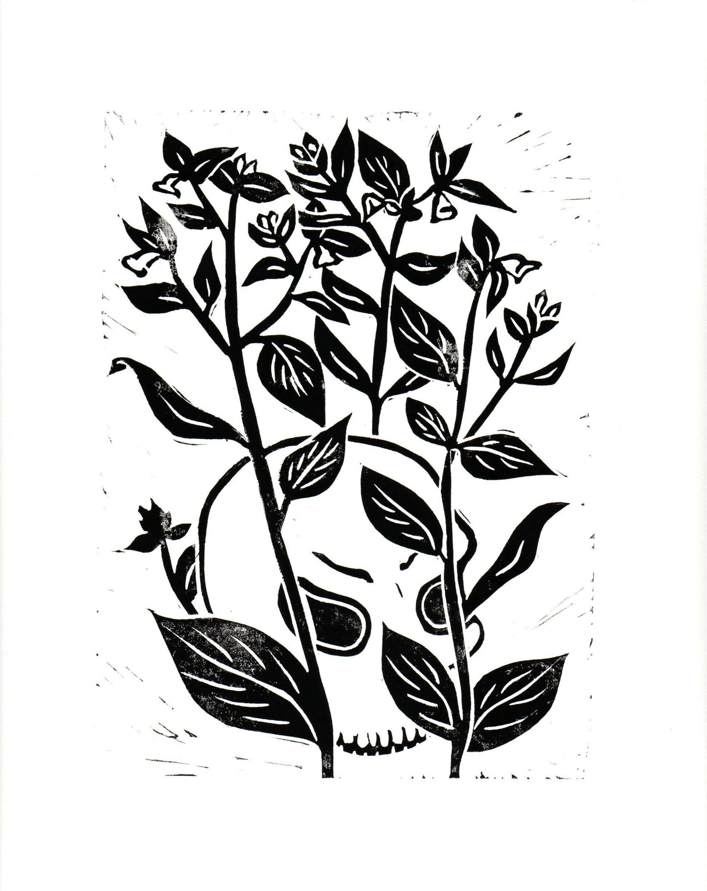 Belladonna relief print memento mori linocut wall art