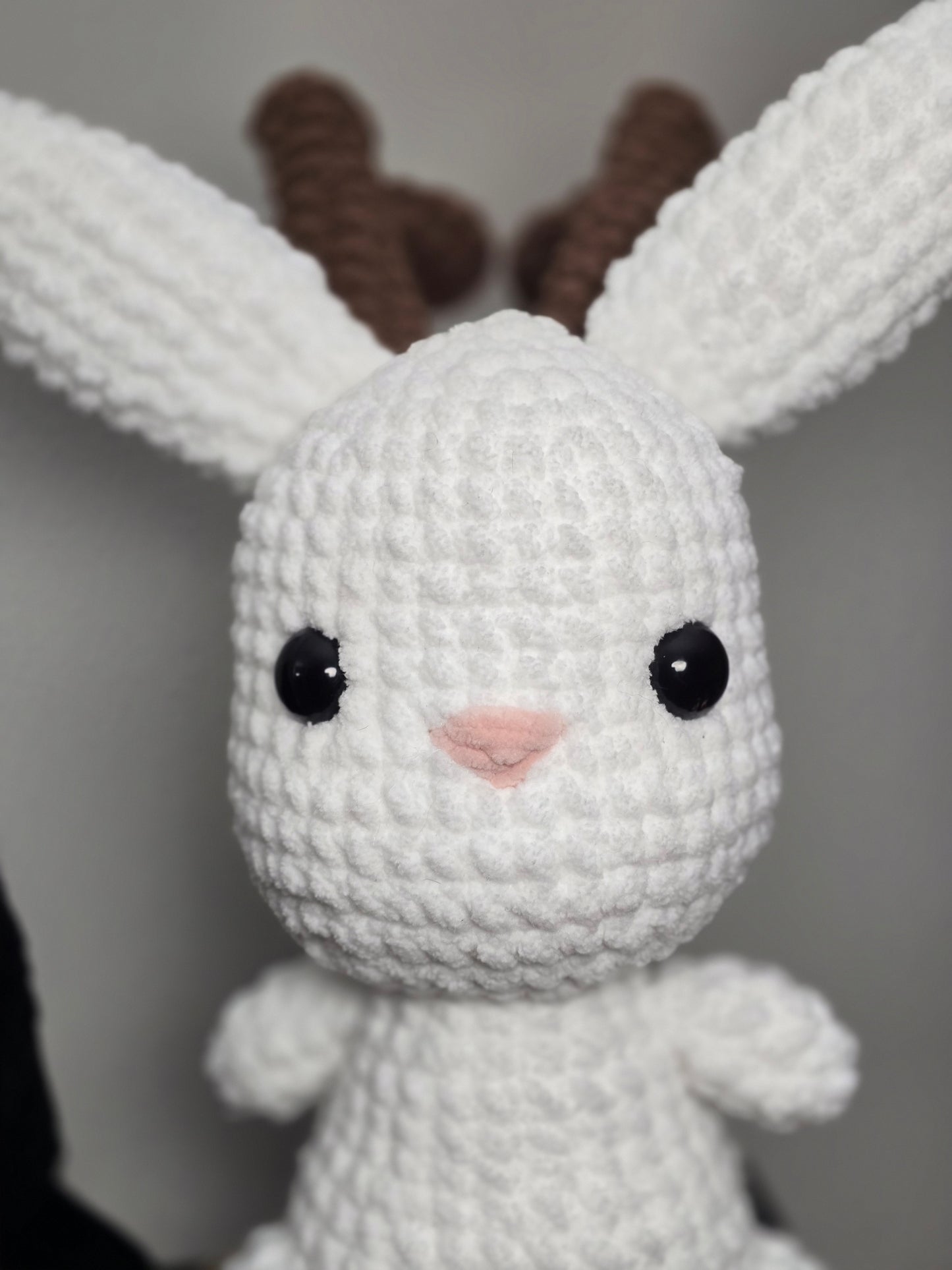 Jackalope Cutie