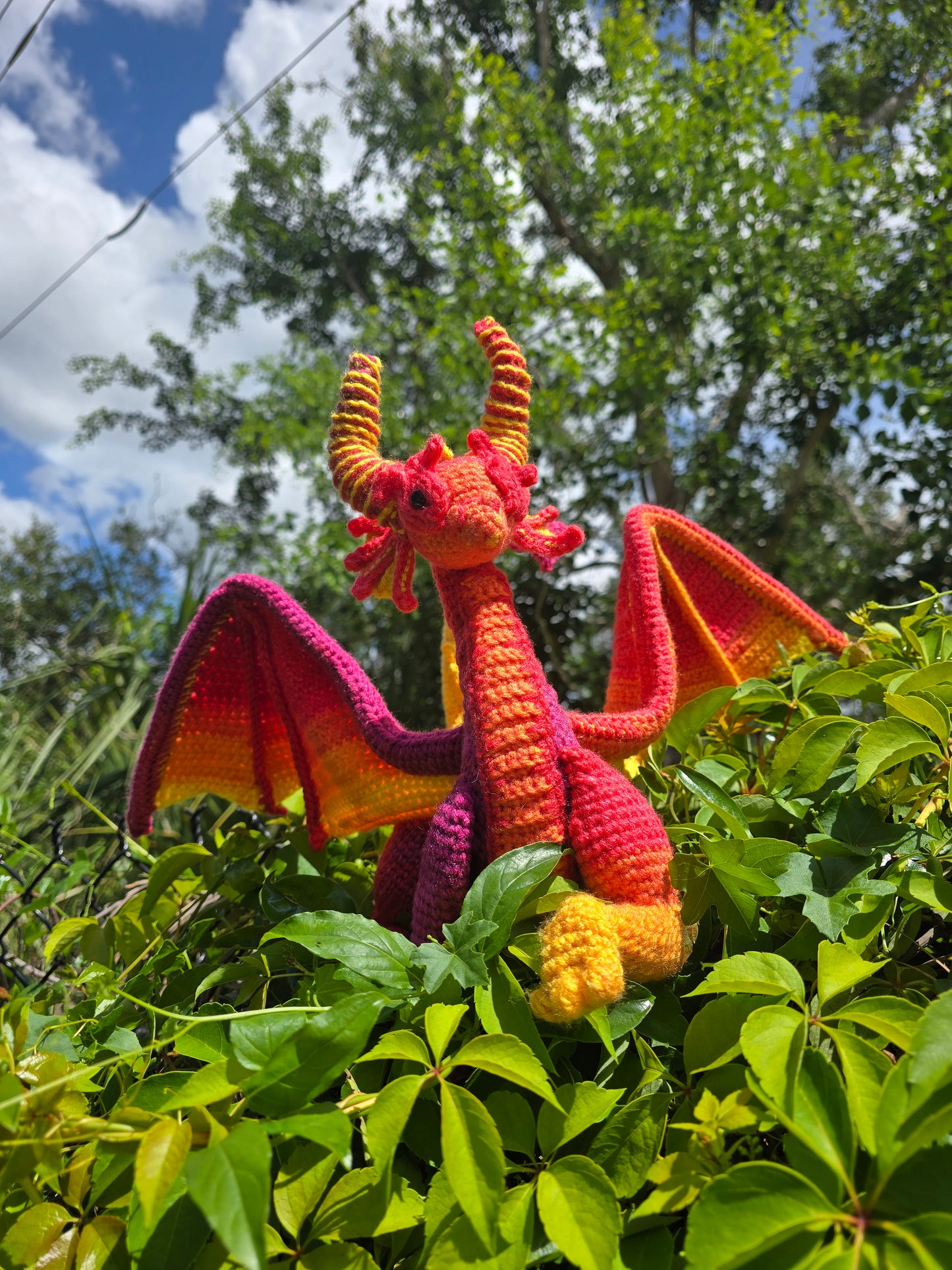 Sunset Dragon
