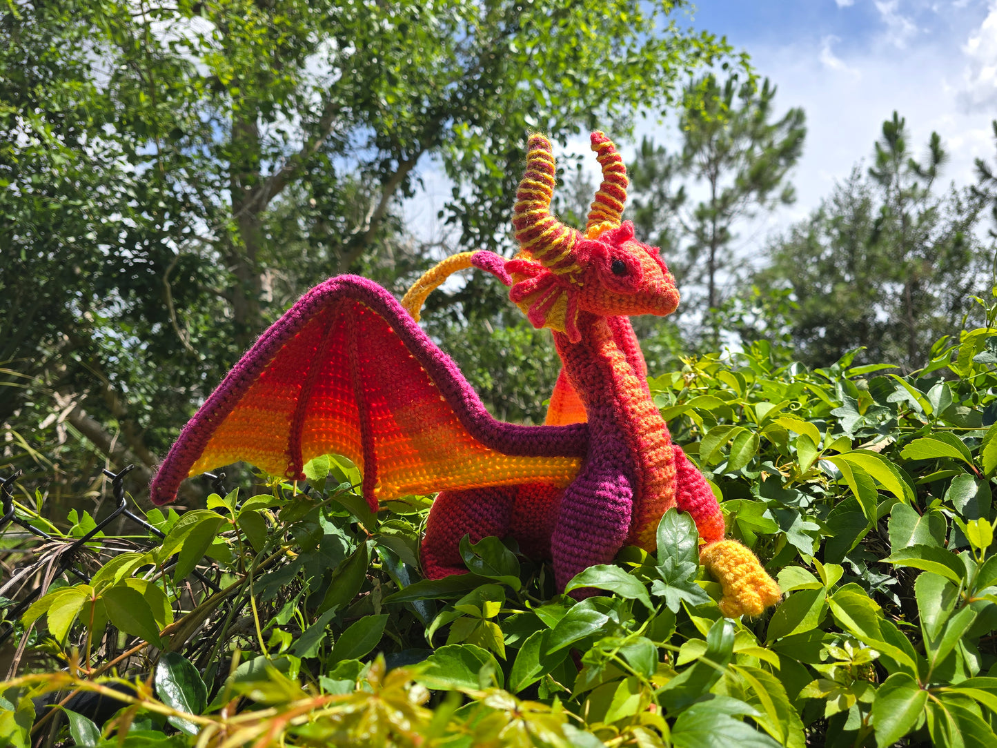 Sunset Dragon