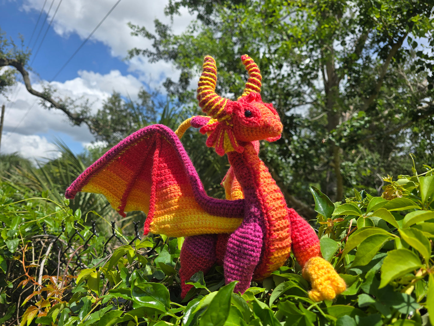 Sunset Dragon